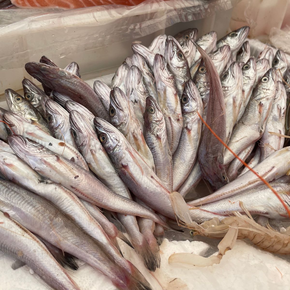 Join a Local for a Market Tour & Home Cooking Class in Catania