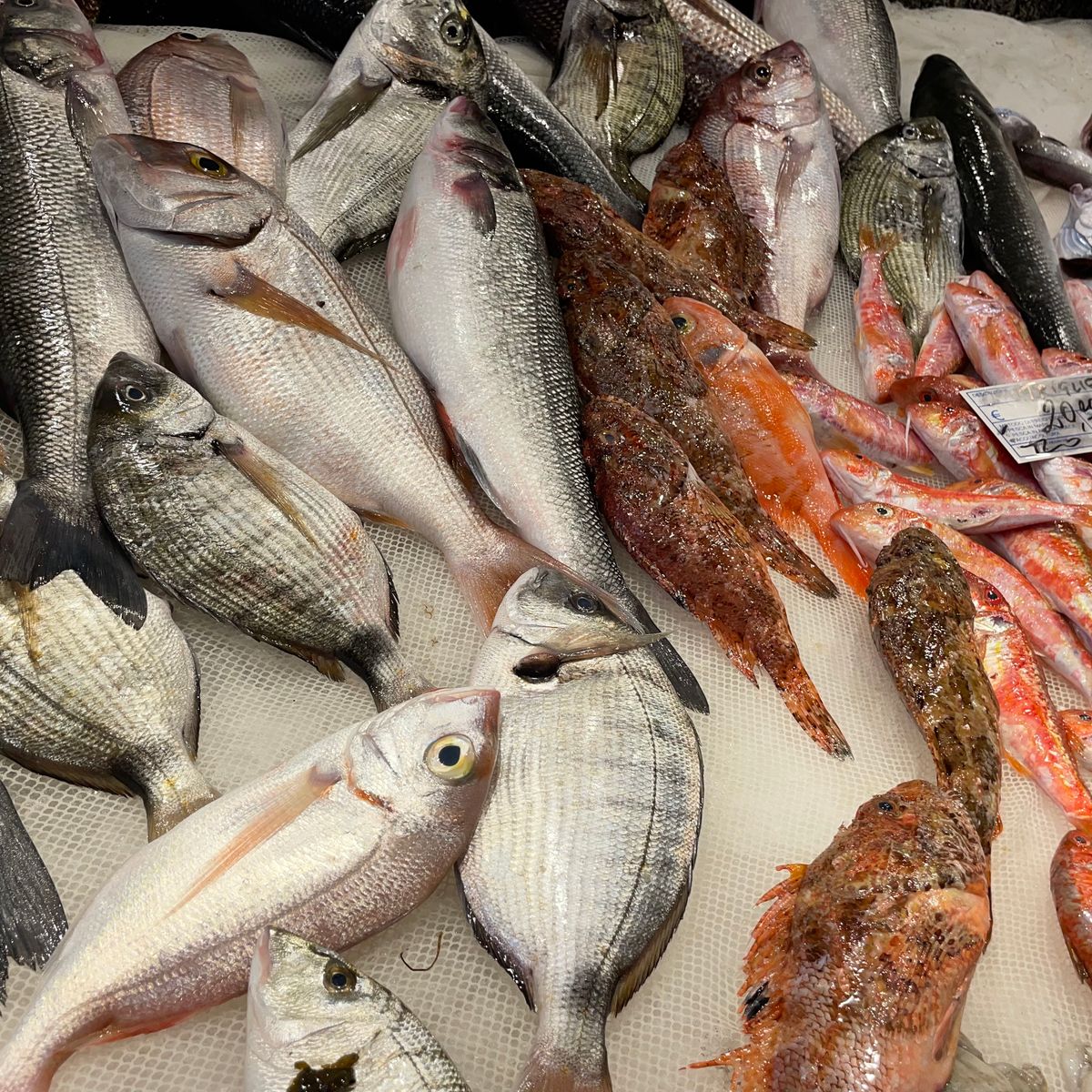 Join a Local for a Market Tour & Home Cooking Class in Catania