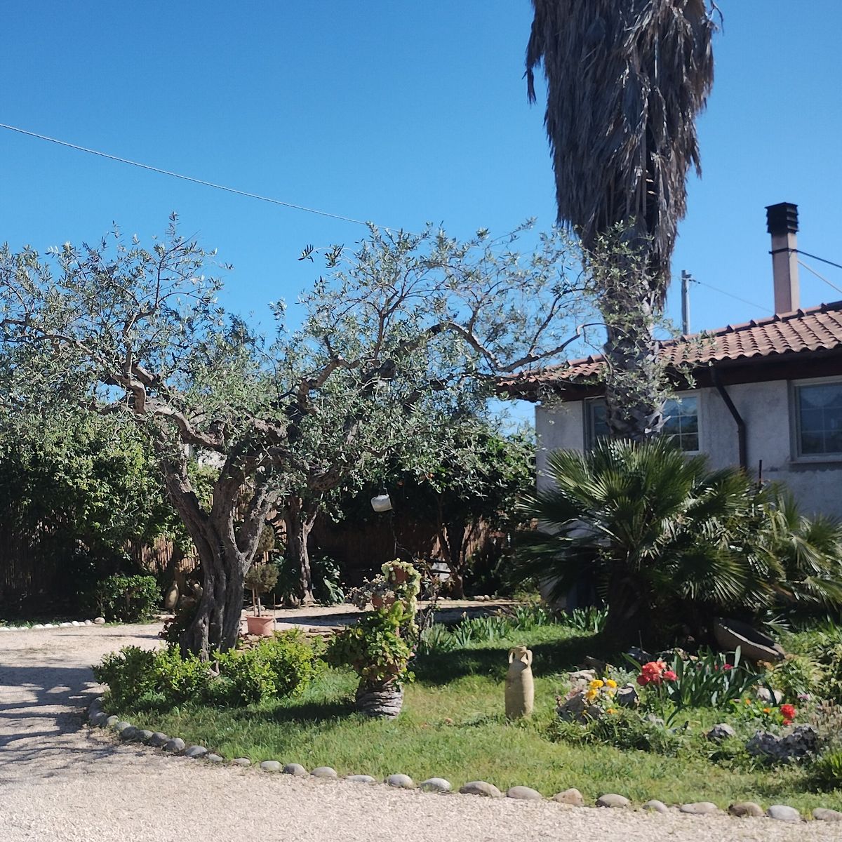 Traditional Fresh Pasta Cooking Masterclass in Sciacca