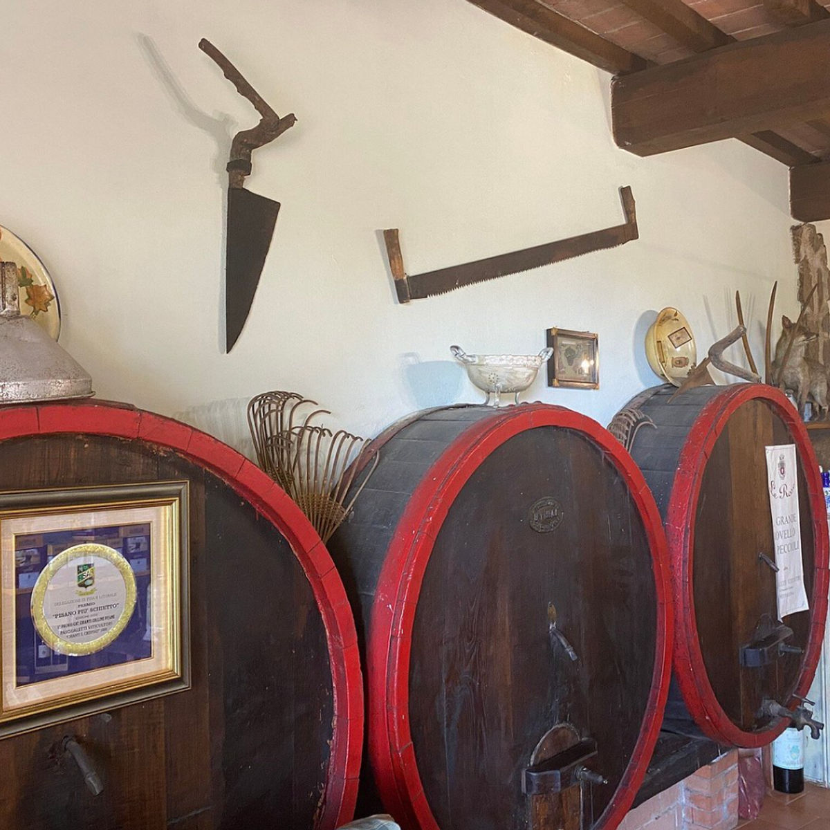 Master Tuscan Wine Experience: From Vineyard Walk to Guided Tasting