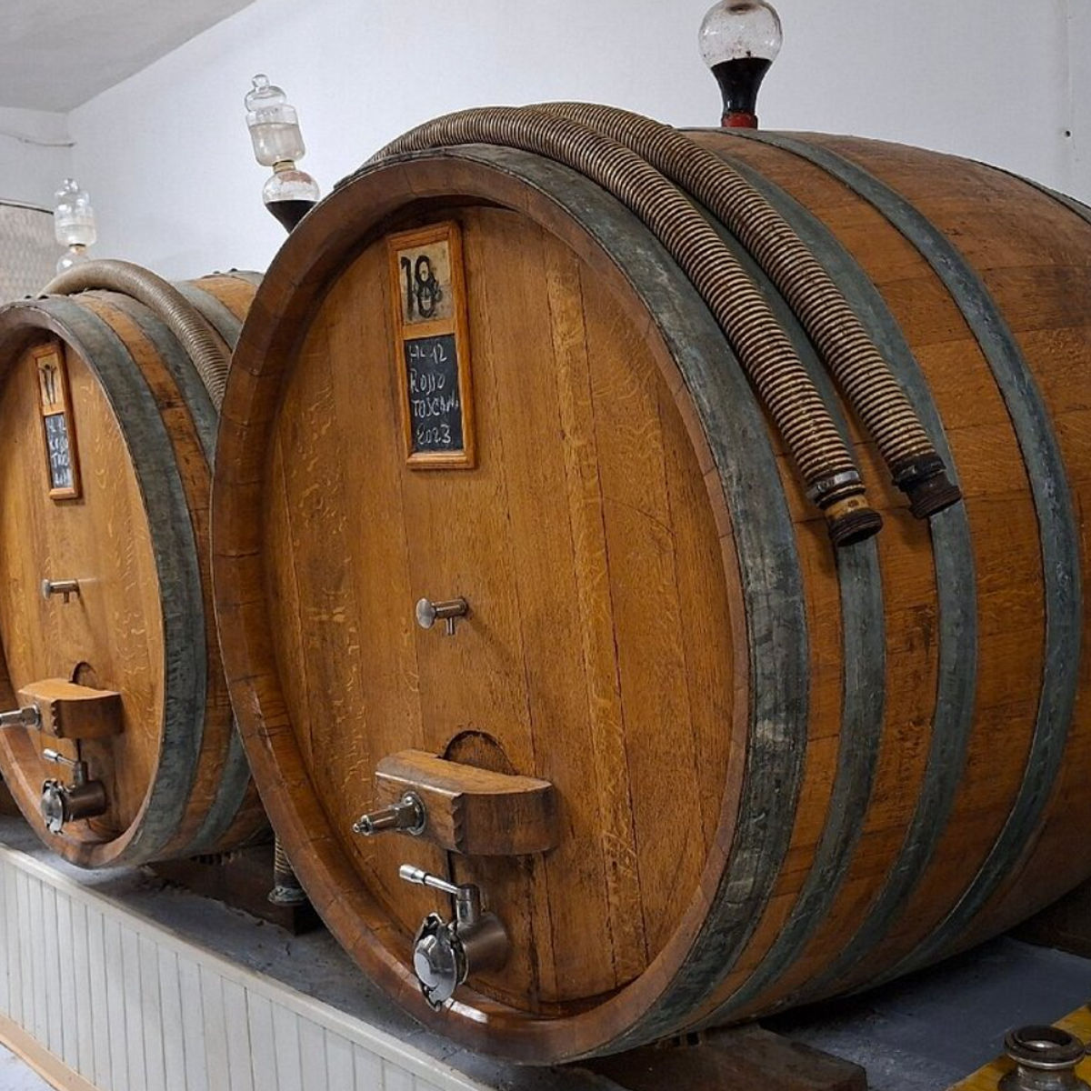 Master Tuscan Wine Experience: From Vineyard Walk to Guided Tasting