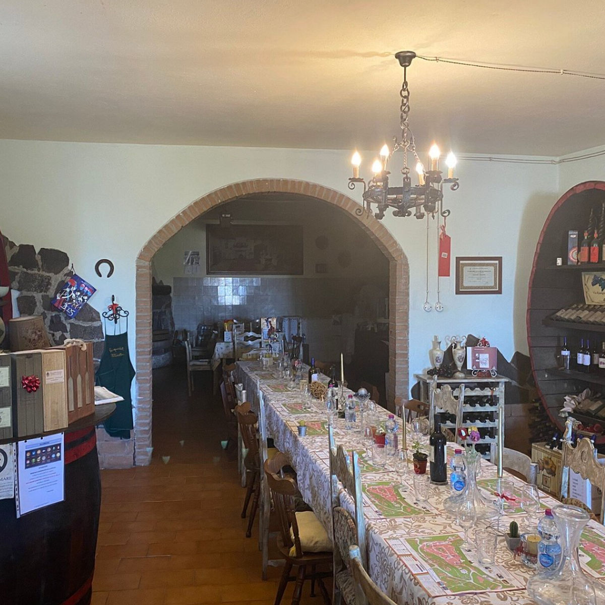 Master Tuscan Wine Experience: From Vineyard Walk to Guided Tasting