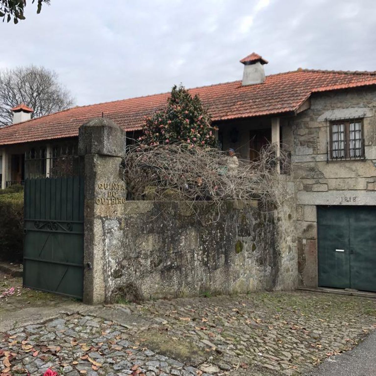 Mastering the Art of Crafting Portuguese Cuisine with a Chef