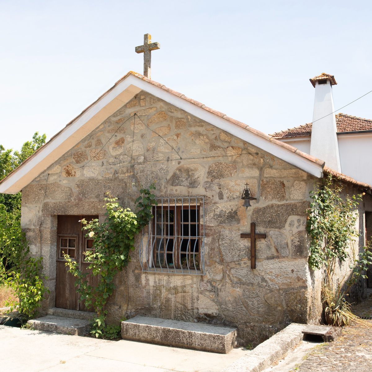 Mastering the Art of Crafting Portuguese Cuisine with a Chef