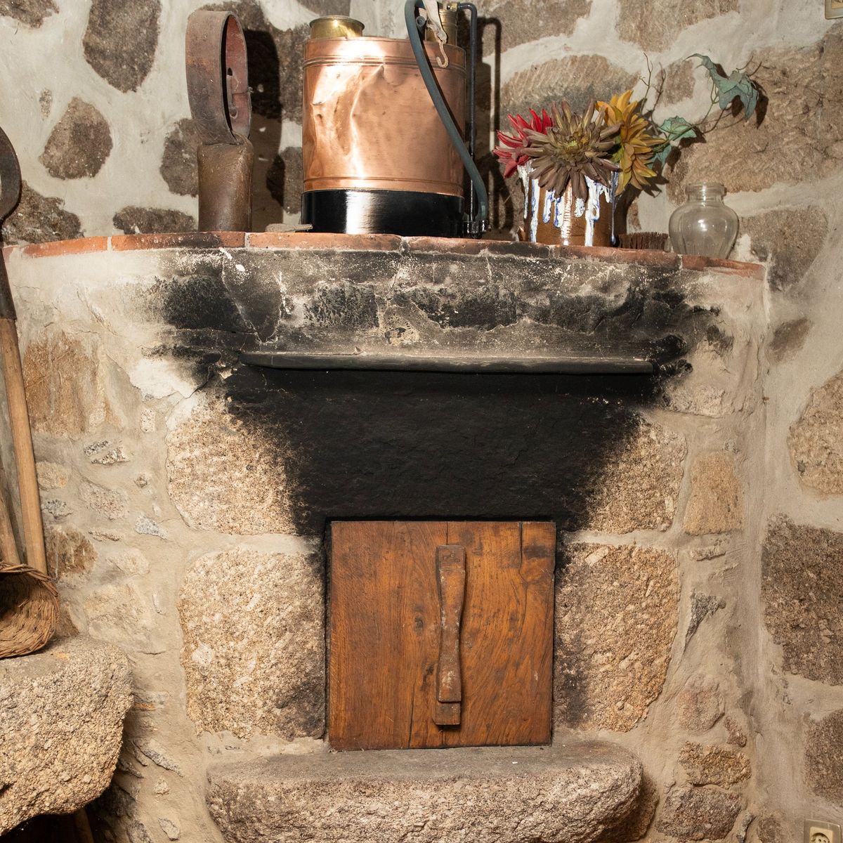 Mastering the Art of Crafting Portuguese Cuisine with a Chef