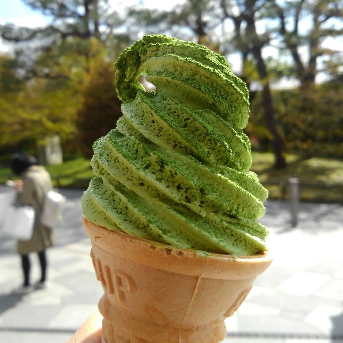 Matcha Green Tea Tour in Uji Kyoto with Temple Visit