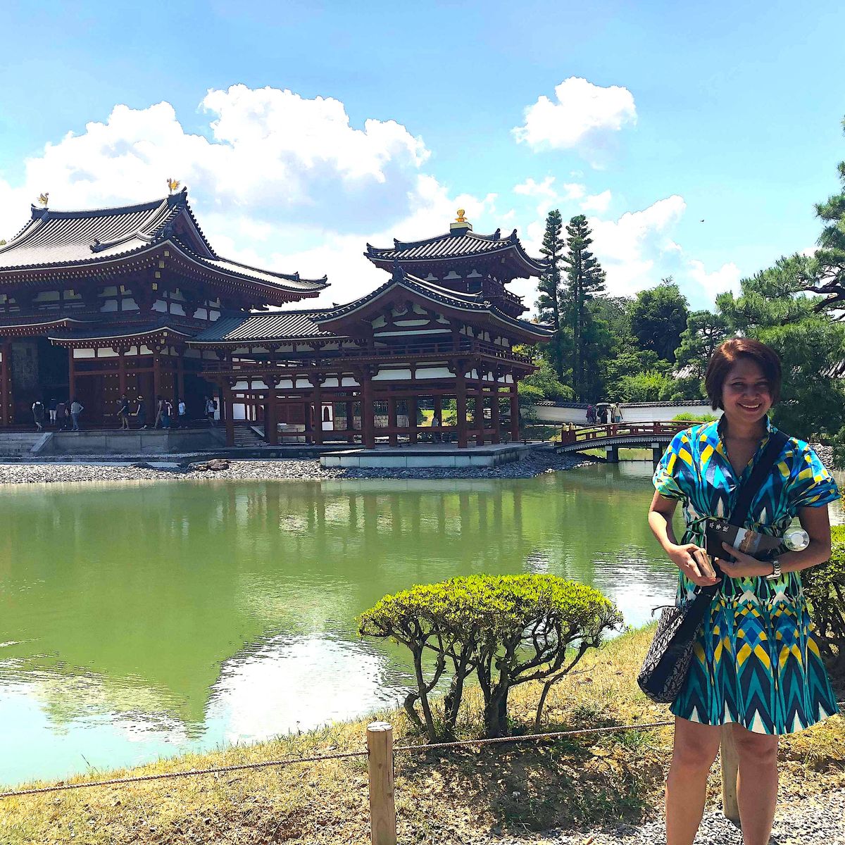 Matcha Green Tea Tour in Uji Kyoto with Temple Visit