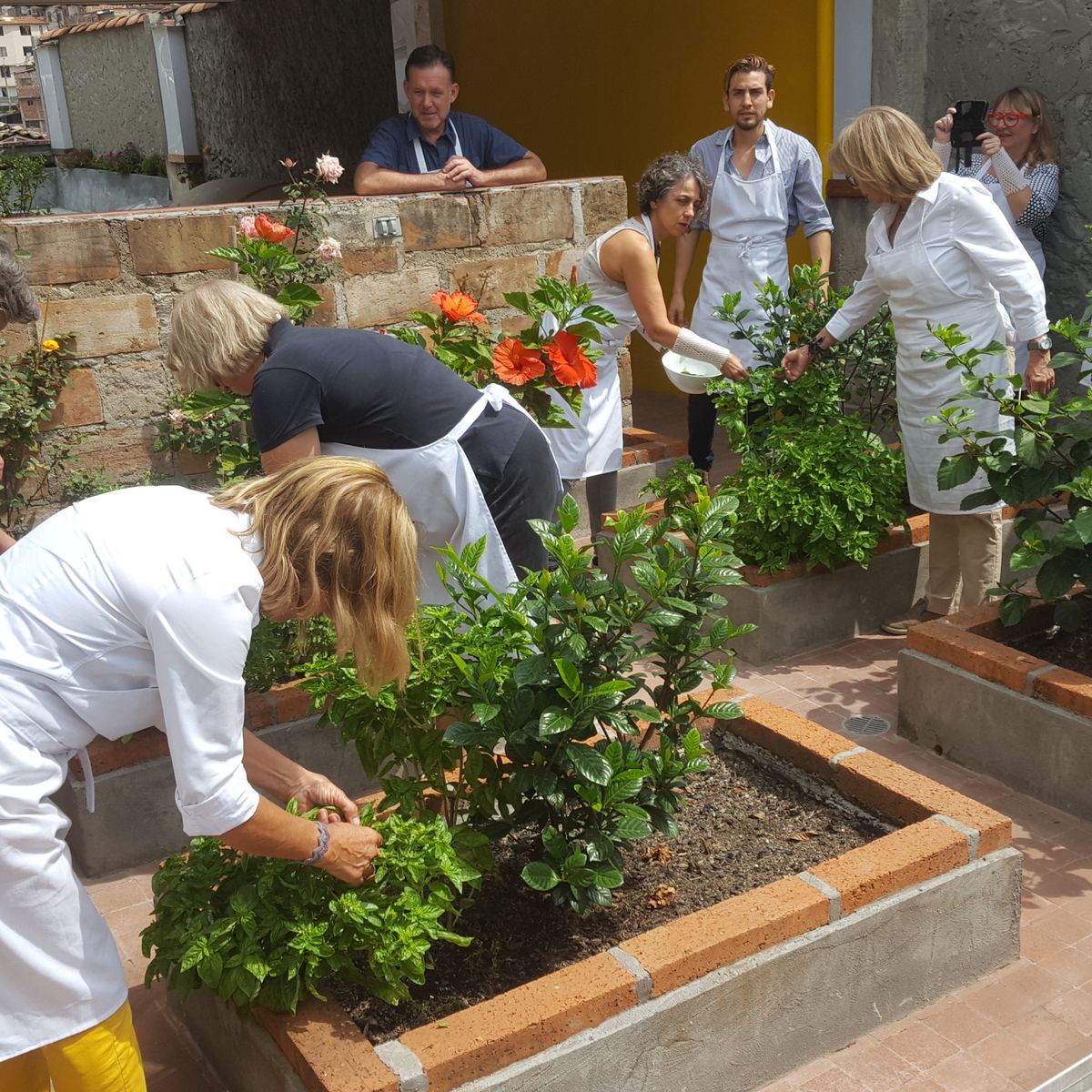 Medellín Community Project Cooking Class and Tour on Wednesdays