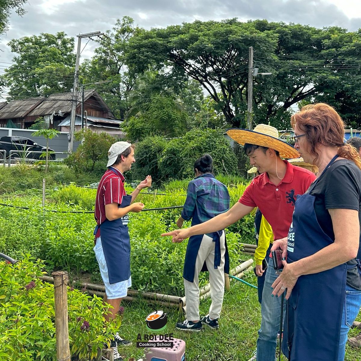 Fresh Organic Ingredients Cooking Thai Dish in Lovely Organic Farm Chiangmai