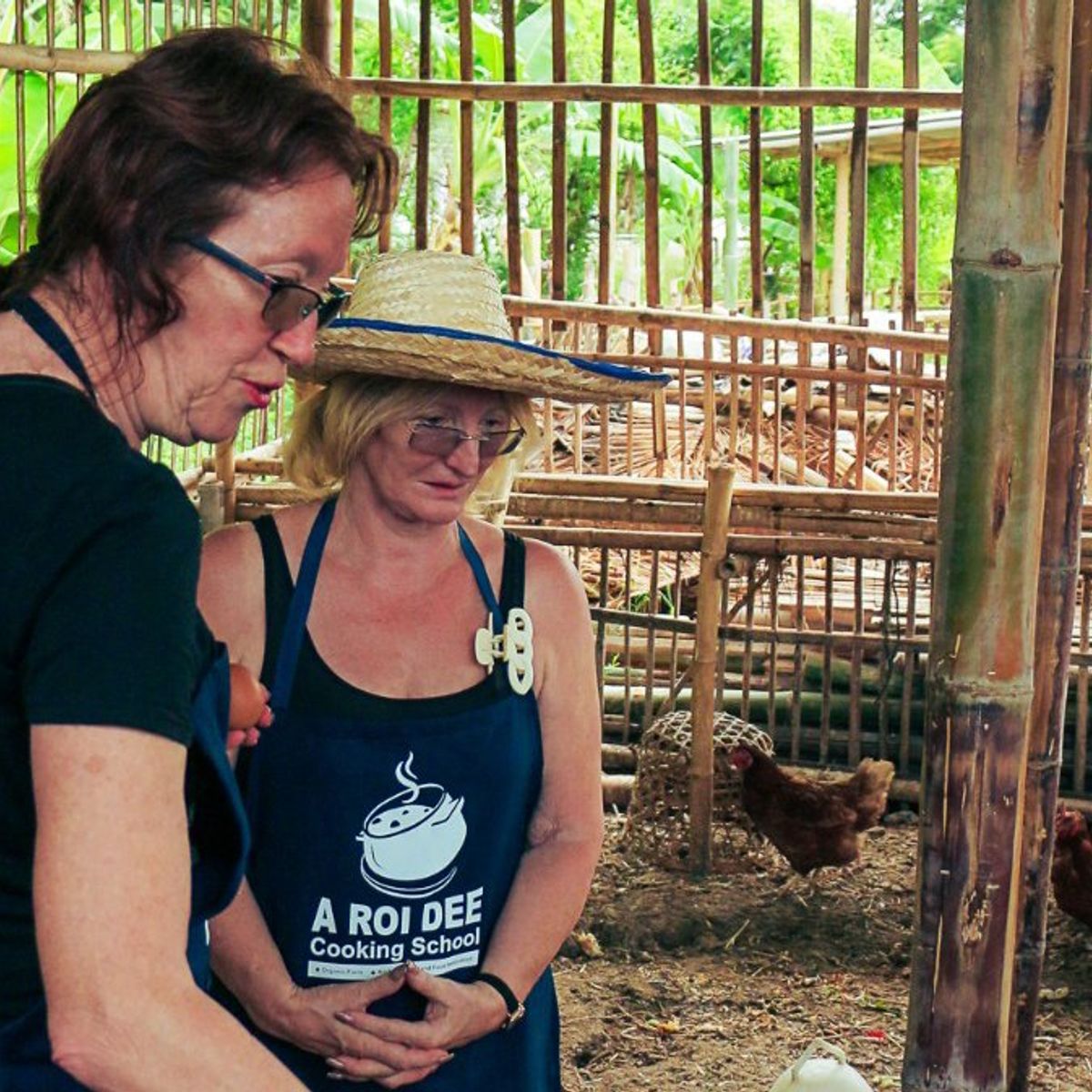 Fresh Organic Ingredients Cooking Thai Dish in Lovely Organic Farm Chiangmai