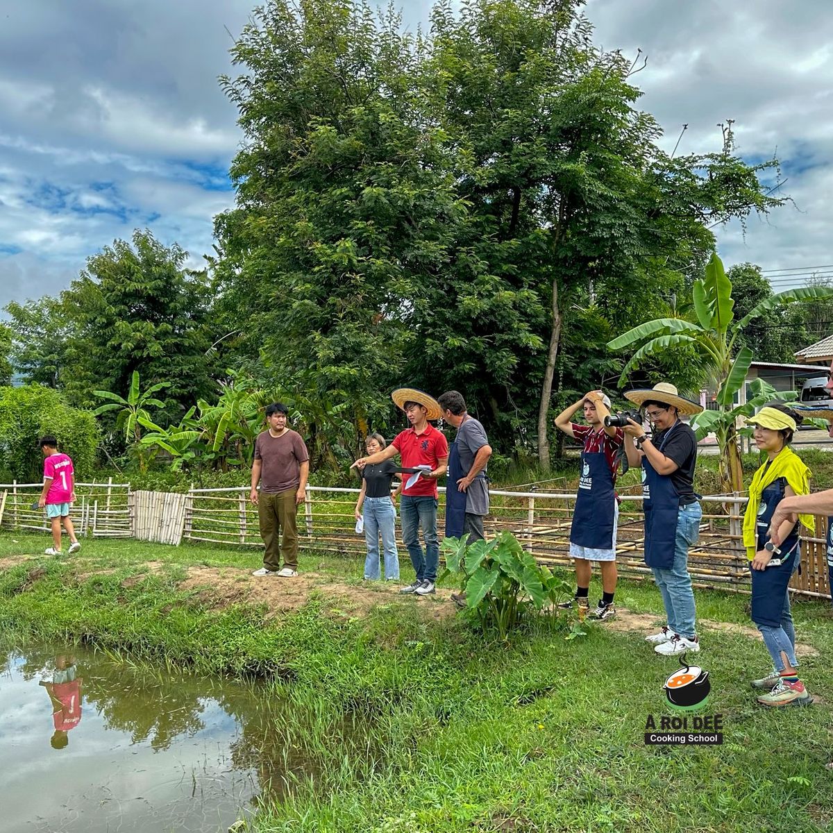 Fresh Organic Ingredients Cooking Thai Dish in Lovely Organic Farm Chiangmai