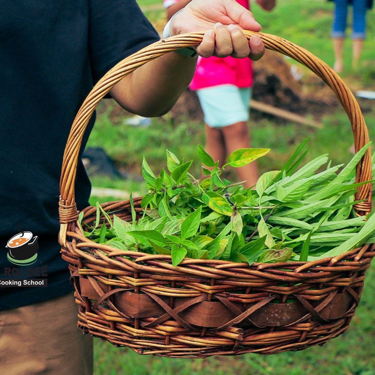 Fresh Organic Ingredients Cooking Thai Dish in Lovely Organic Farm Chiangmai