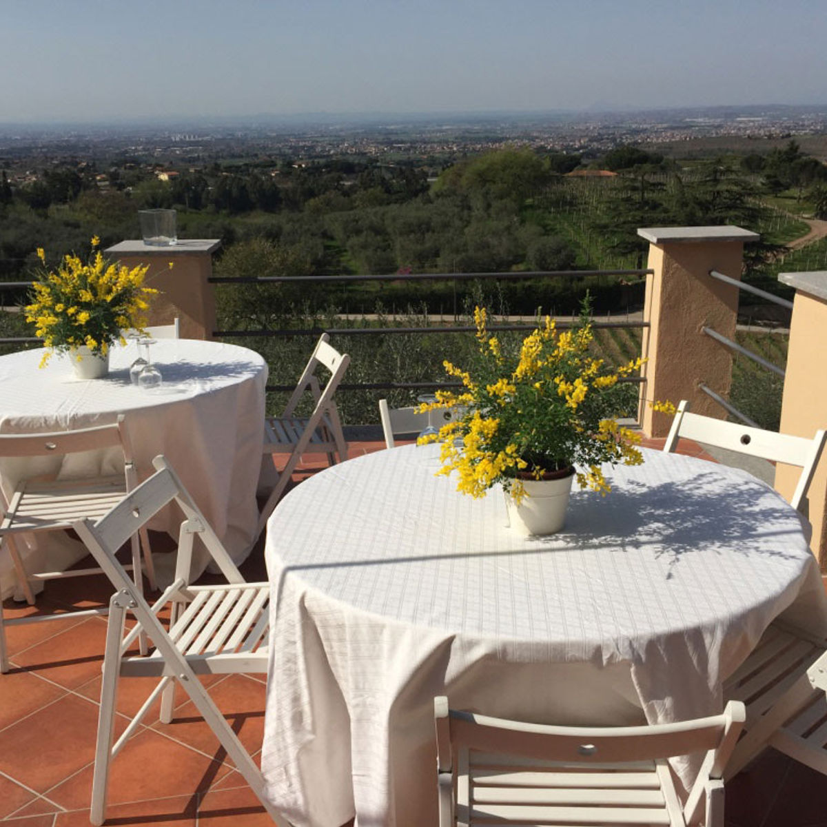 Pizza Making Class with Winery Tour & Tasting: Roman Adventure