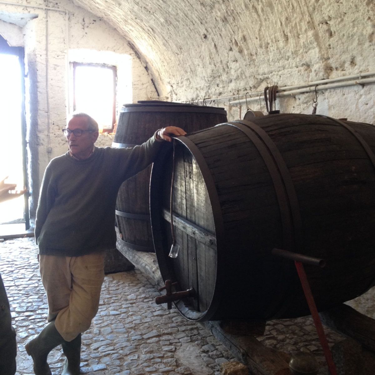 Pizza Making Class with Winery Tour & Tasting: Roman Adventure