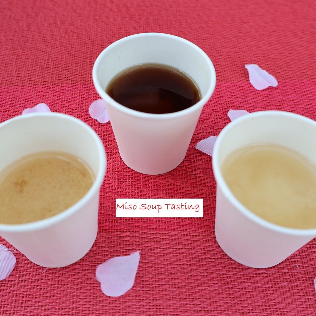 Miso-Making Experience with Refreshing Amazake Dessert (Vegan-Friendly)