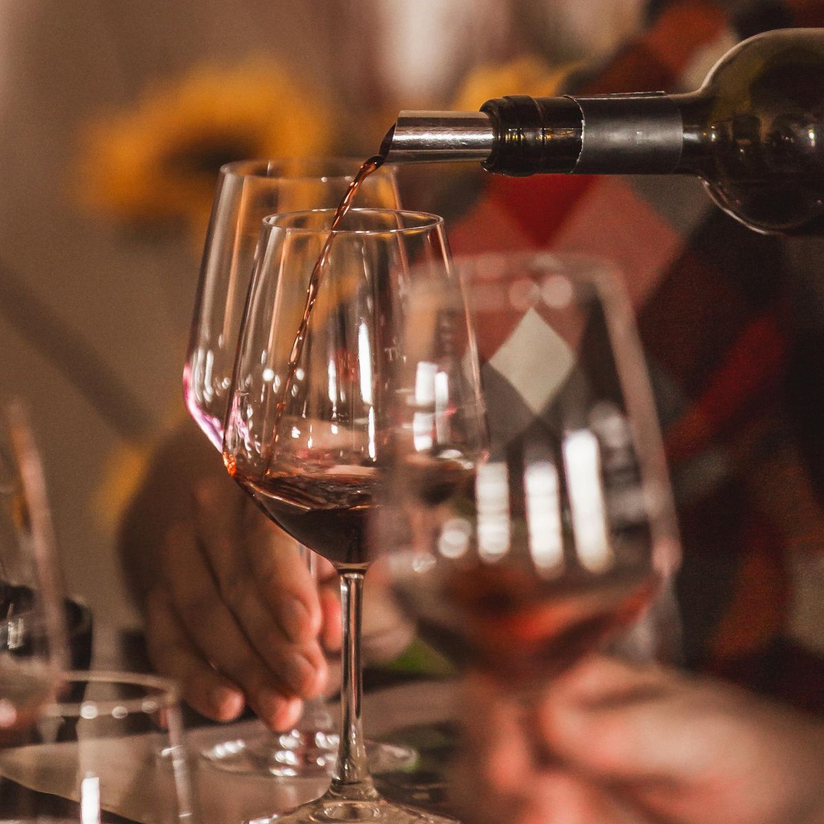 Tour of Montalcino Castle and Vineyards with Wine Tasting