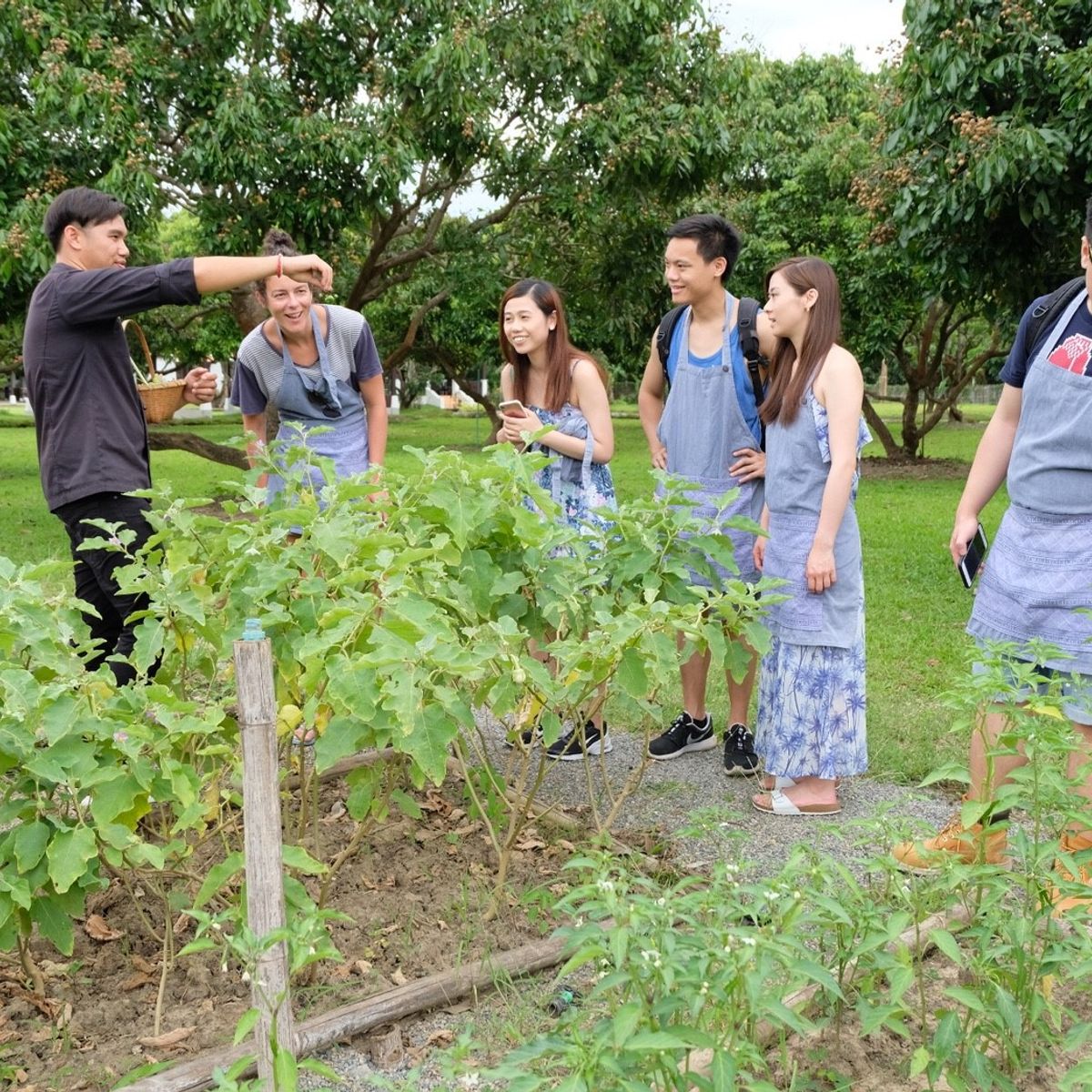 Morning Class in Traditional Pavilion with Beautiful Garden