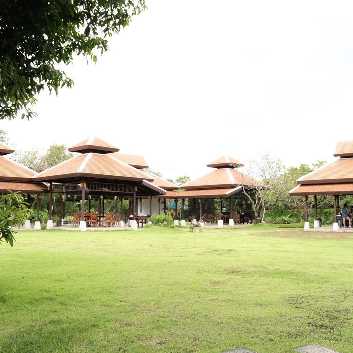 Morning Class in Traditional Pavilion with Beautiful Garden