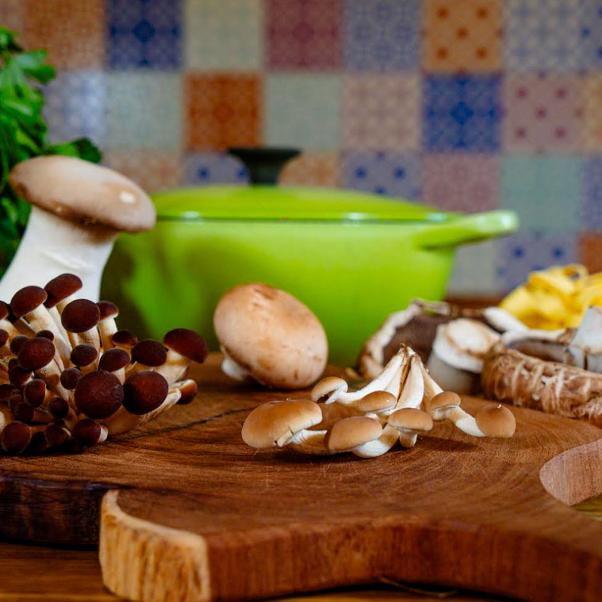 Hands-On Mushroom Cooking at a Monferrato Farmhouse with Alpine Views