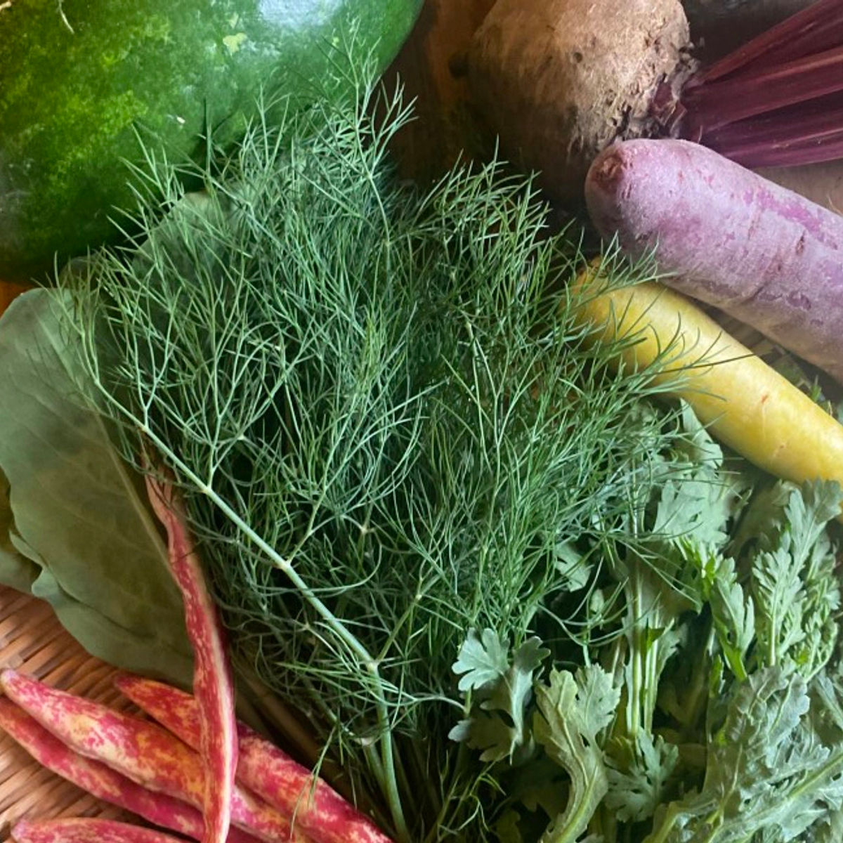 Naha Private Cooking Class: Make 4 Okinawan Dishes