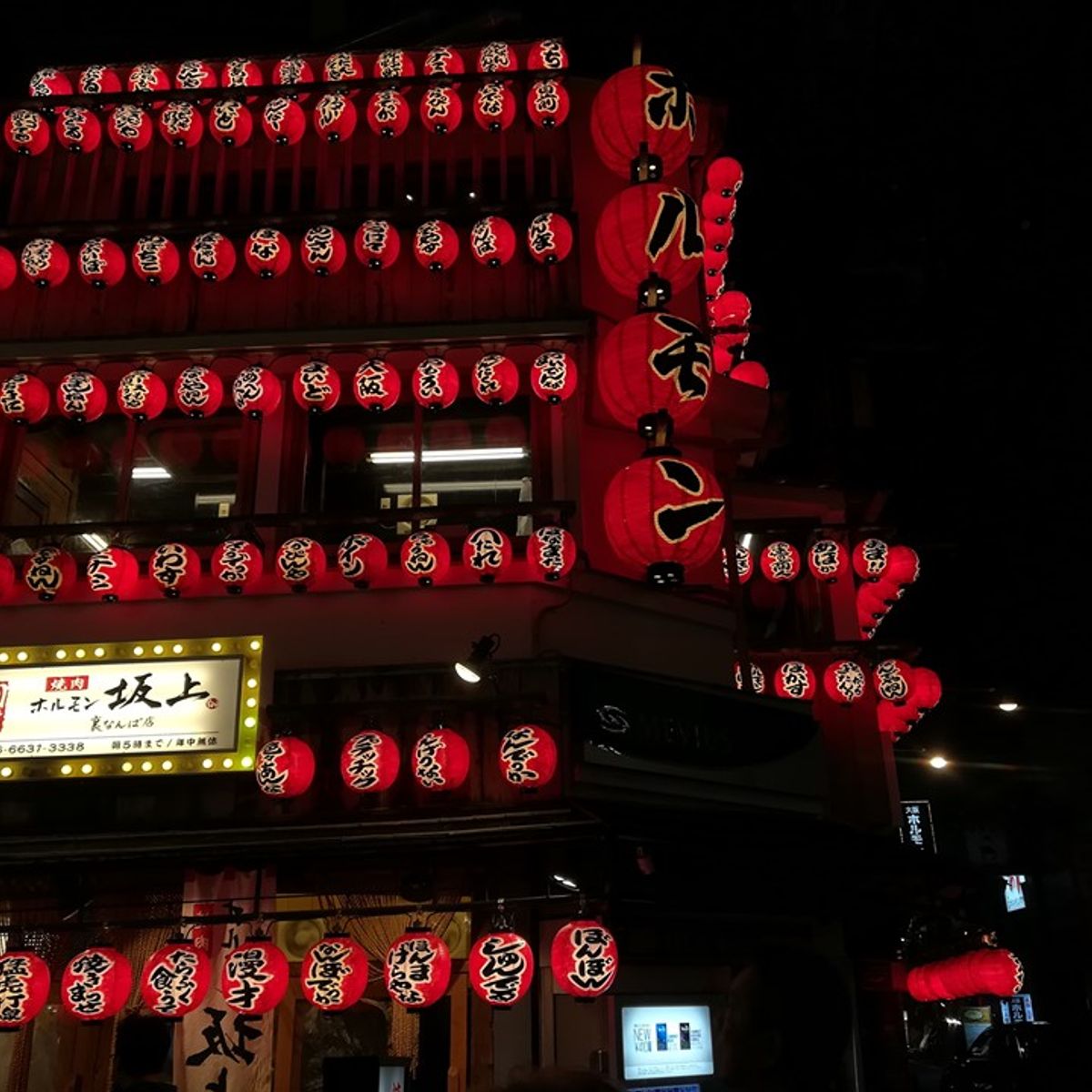 Nightlife Osaka Food Tour