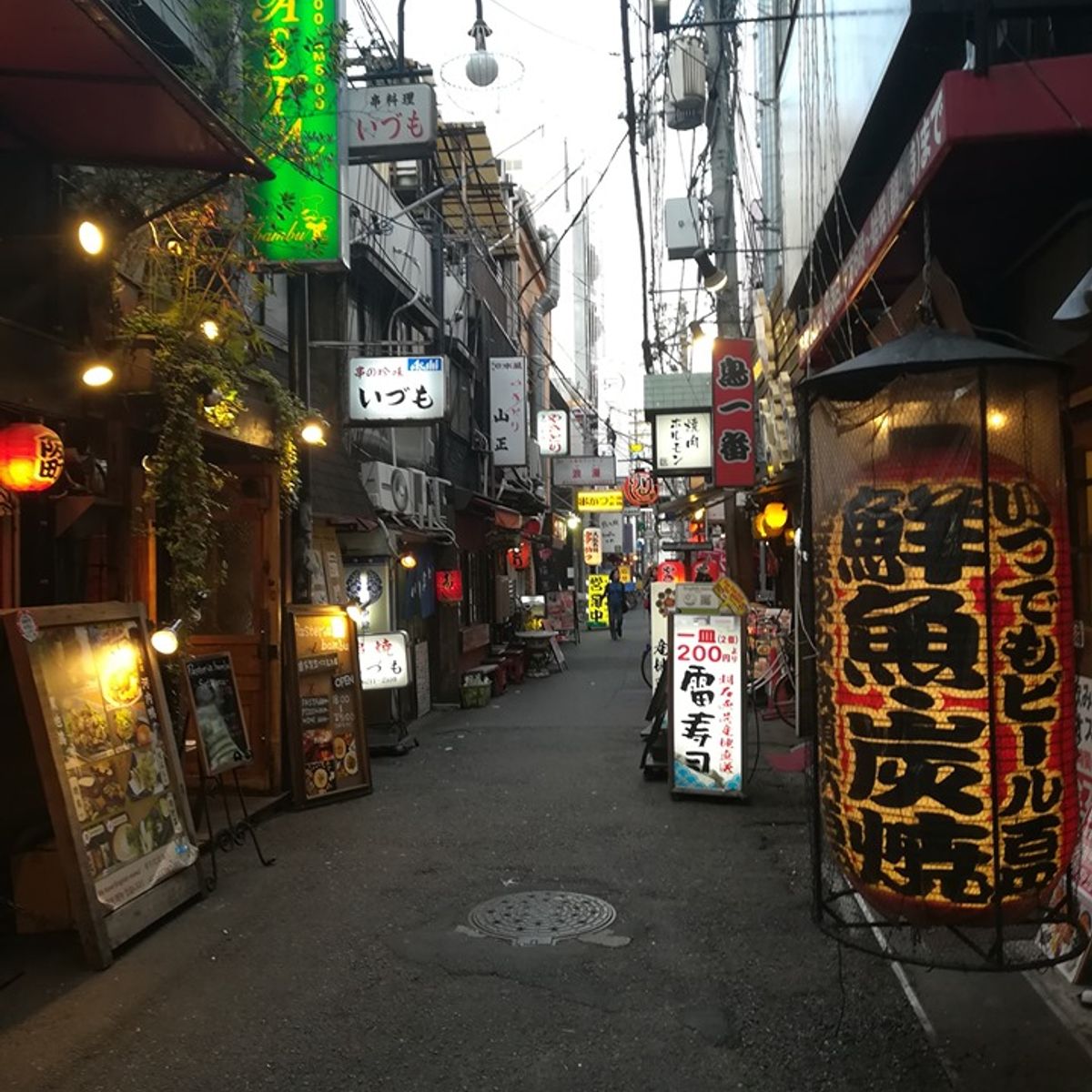 Nightlife Osaka Food Tour