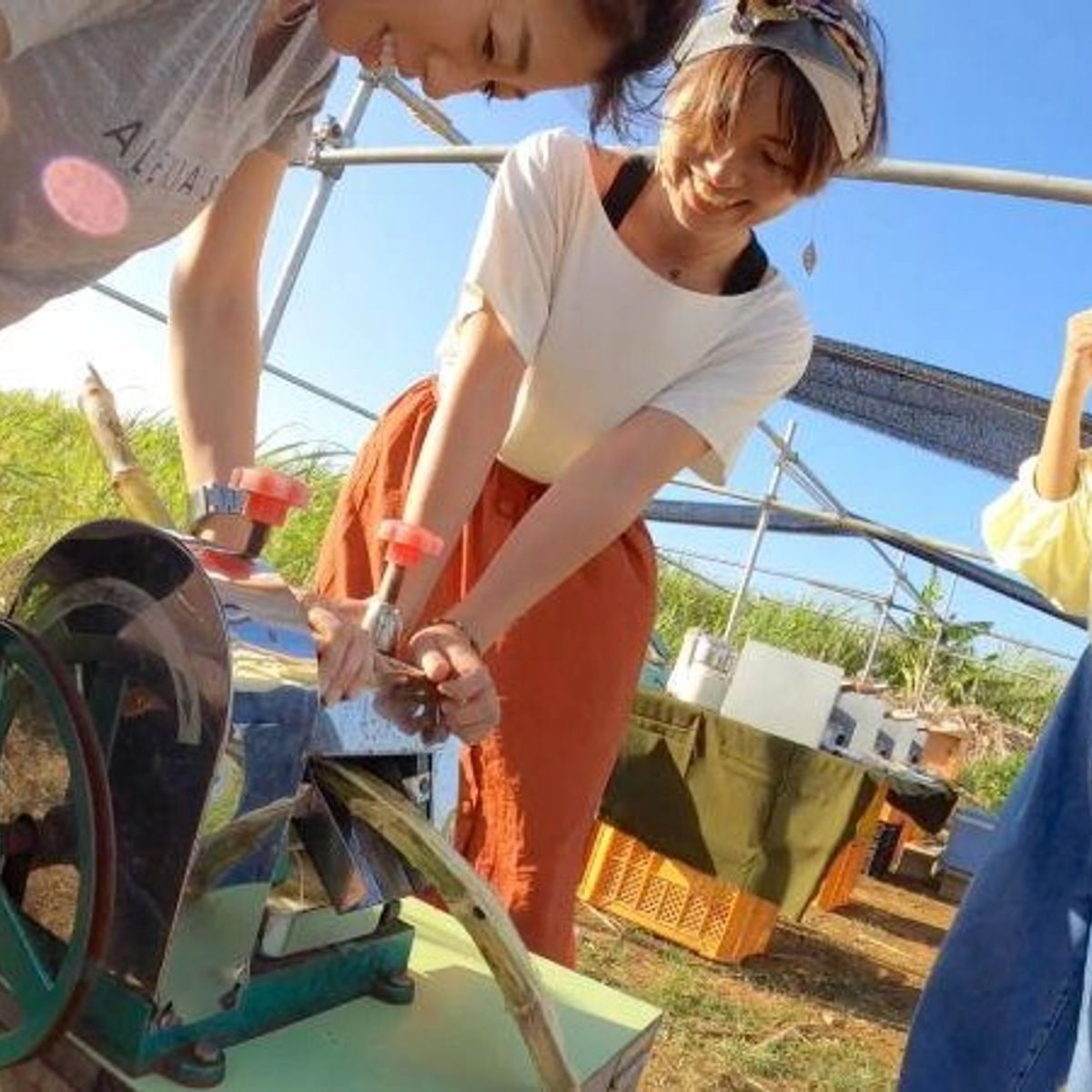 Okinawan Dessert Making: Fresh from the Farm