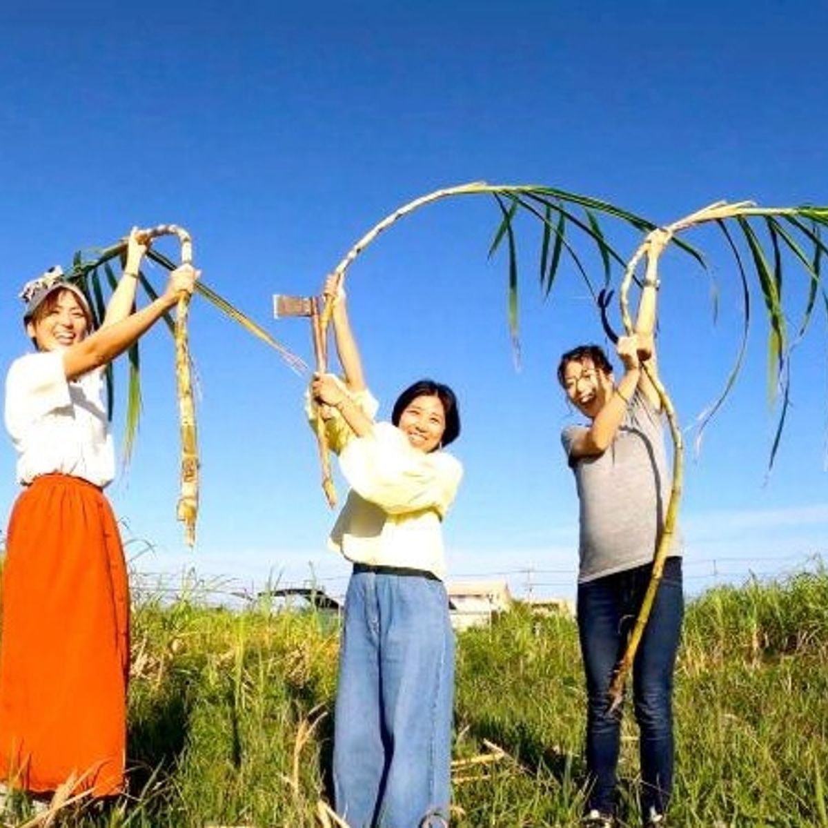 Okinawan Dessert Making: Fresh from the Farm