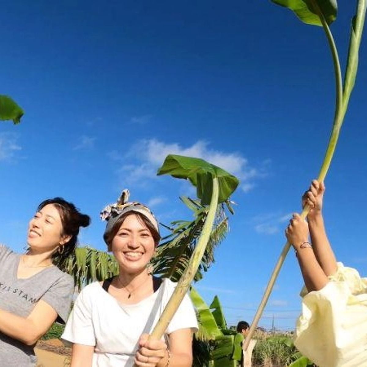 Okinawan Dessert Making: Fresh from the Farm