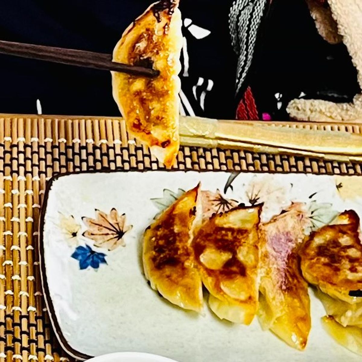 Homemade Okonomiyaki and Gyoza Culinary Class in Nagoya