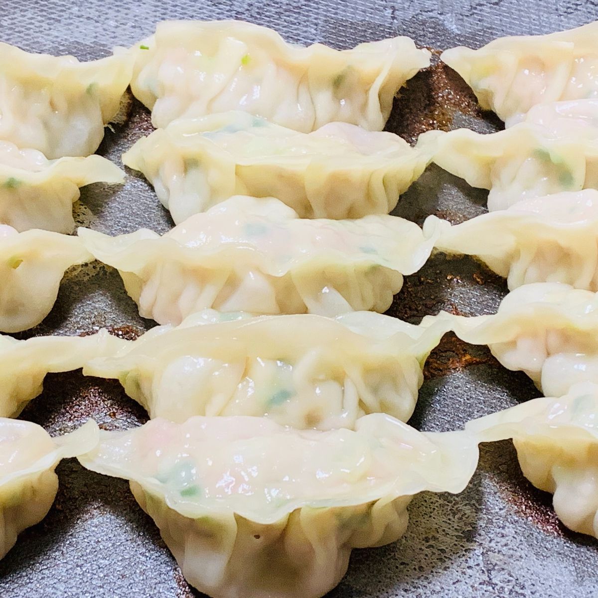Homemade Okonomiyaki and Gyoza Culinary Class in Nagoya