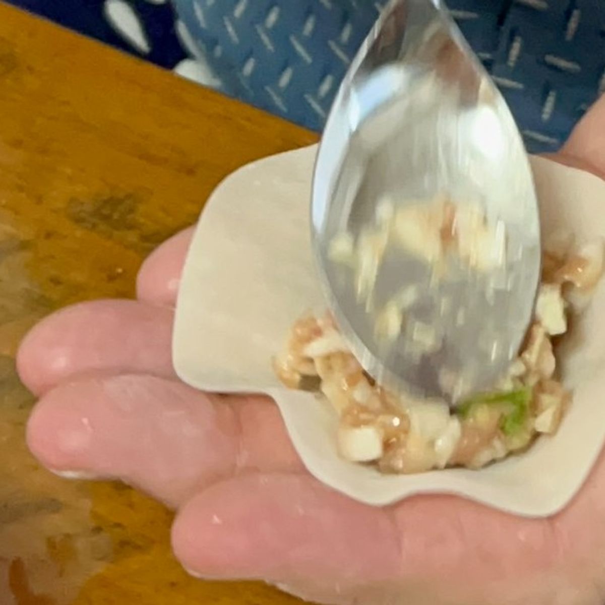 Homemade Okonomiyaki and Gyoza Culinary Class in Nagoya