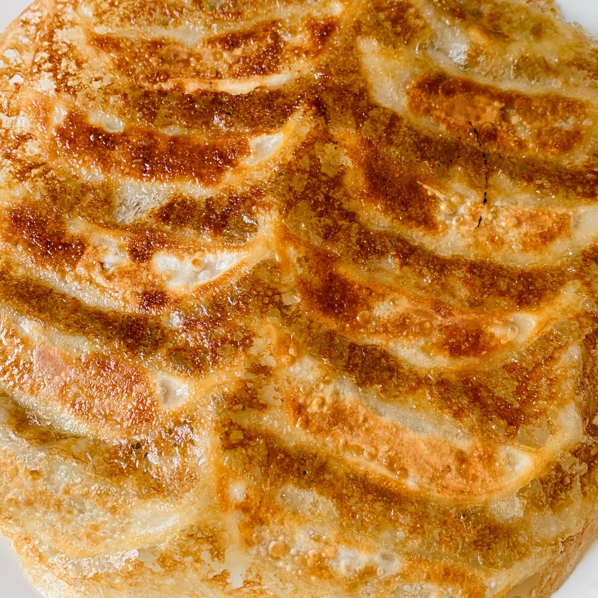 Homemade Okonomiyaki and Gyoza Culinary Class in Nagoya