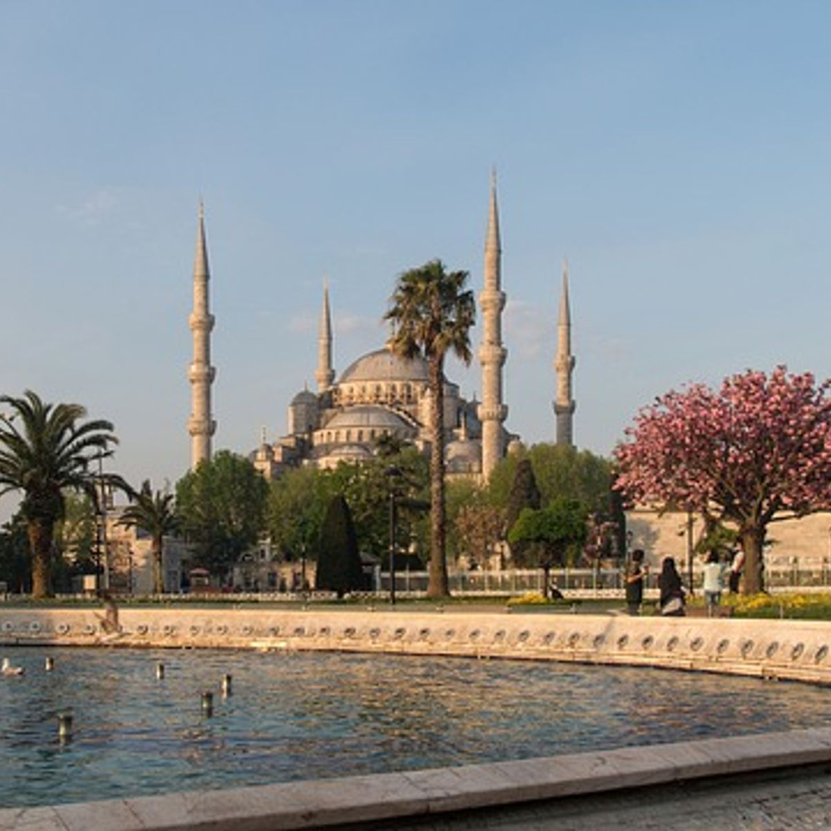 Formule combinant visite du marché fermier de la vieille ville et cours de cuisine à Sultanahmet le mercredi