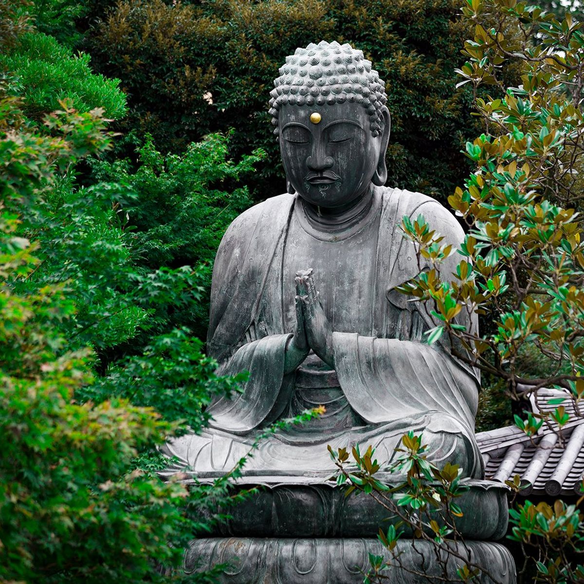 Visite gastronomique de la vieille ville de Tokyo (Yanaka)