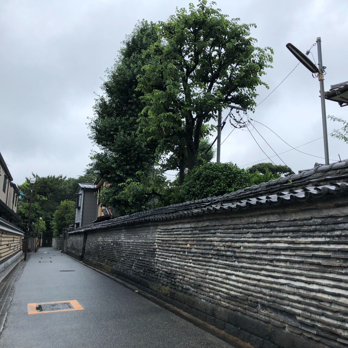Visite gastronomique de la vieille ville de Tokyo (Yanaka)