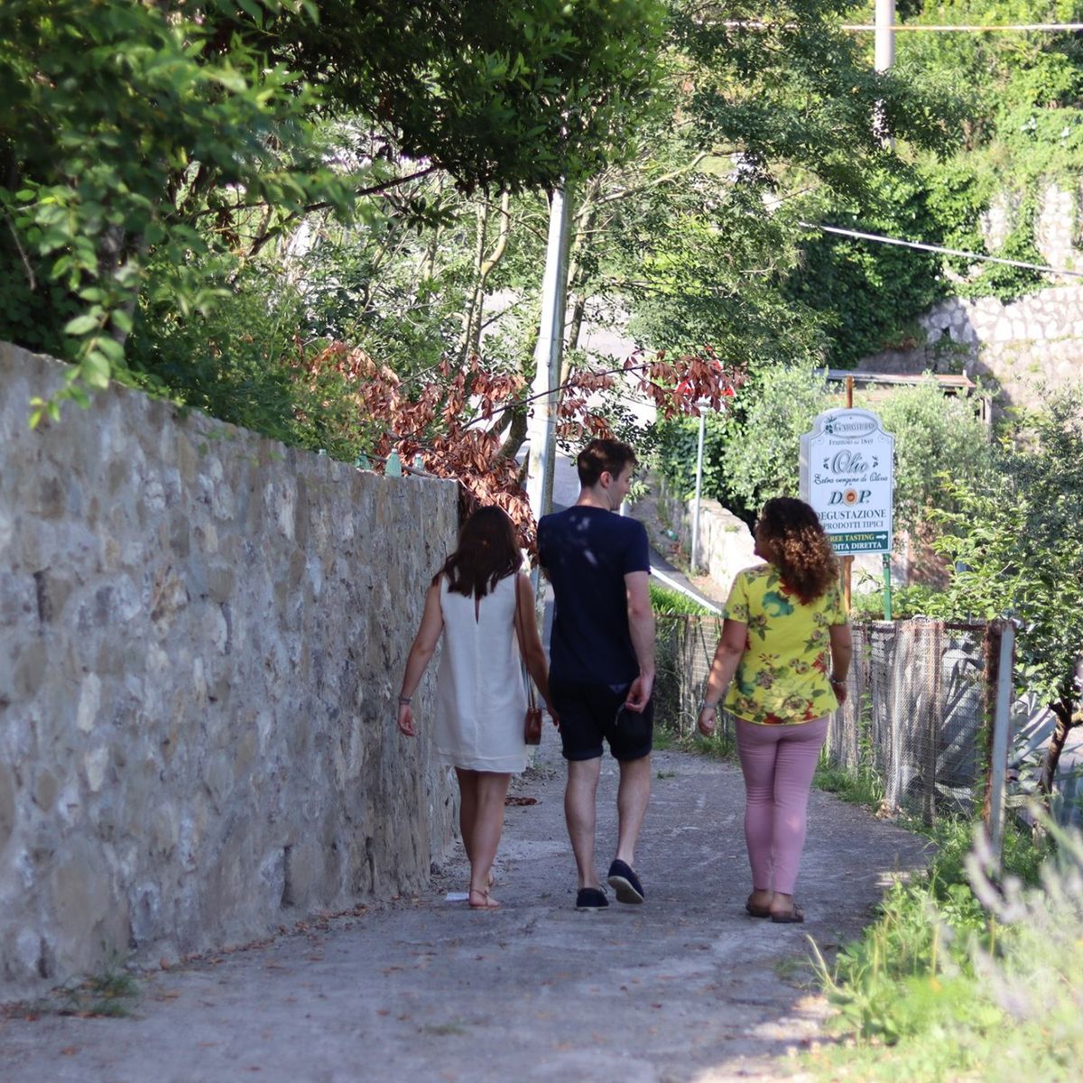 Expérience oléicole et dégustation de spiritueux à Sorrente