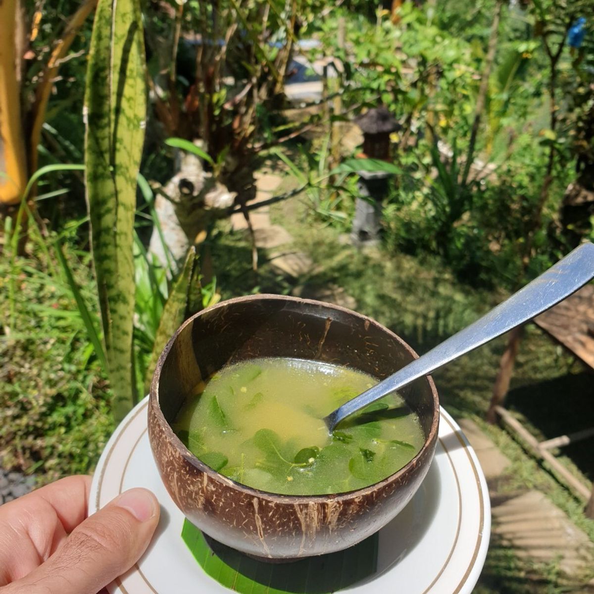 Organic and Authentic Balinese Cooking Class With Cycling in Jatiluwih Rice Terrace