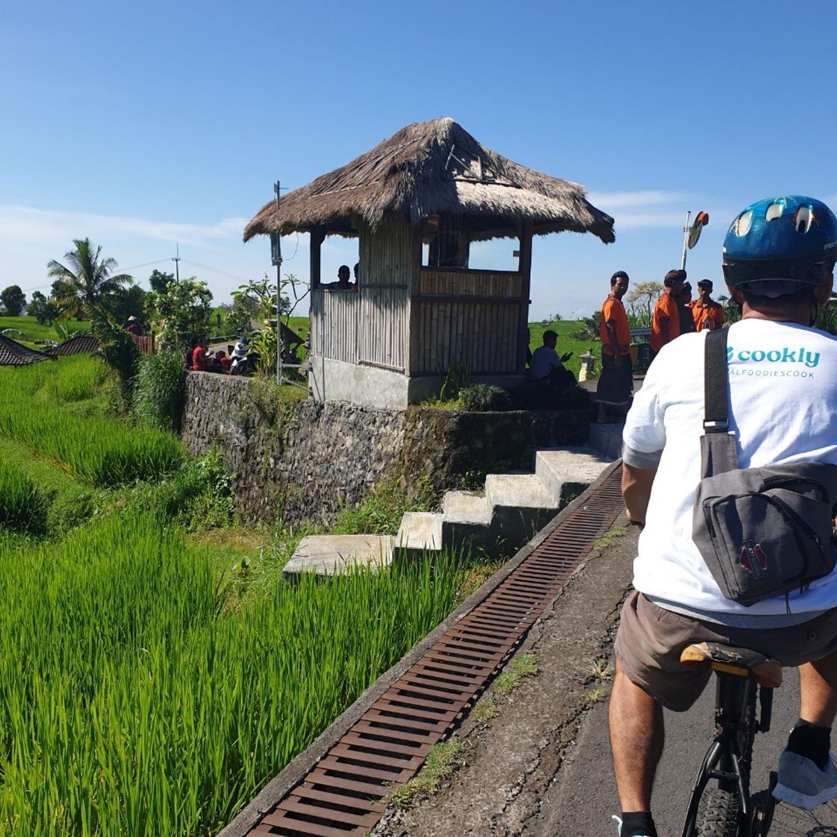 Organic and Authentic Balinese Cooking Class With Cycling in Jatiluwih Rice Terrace