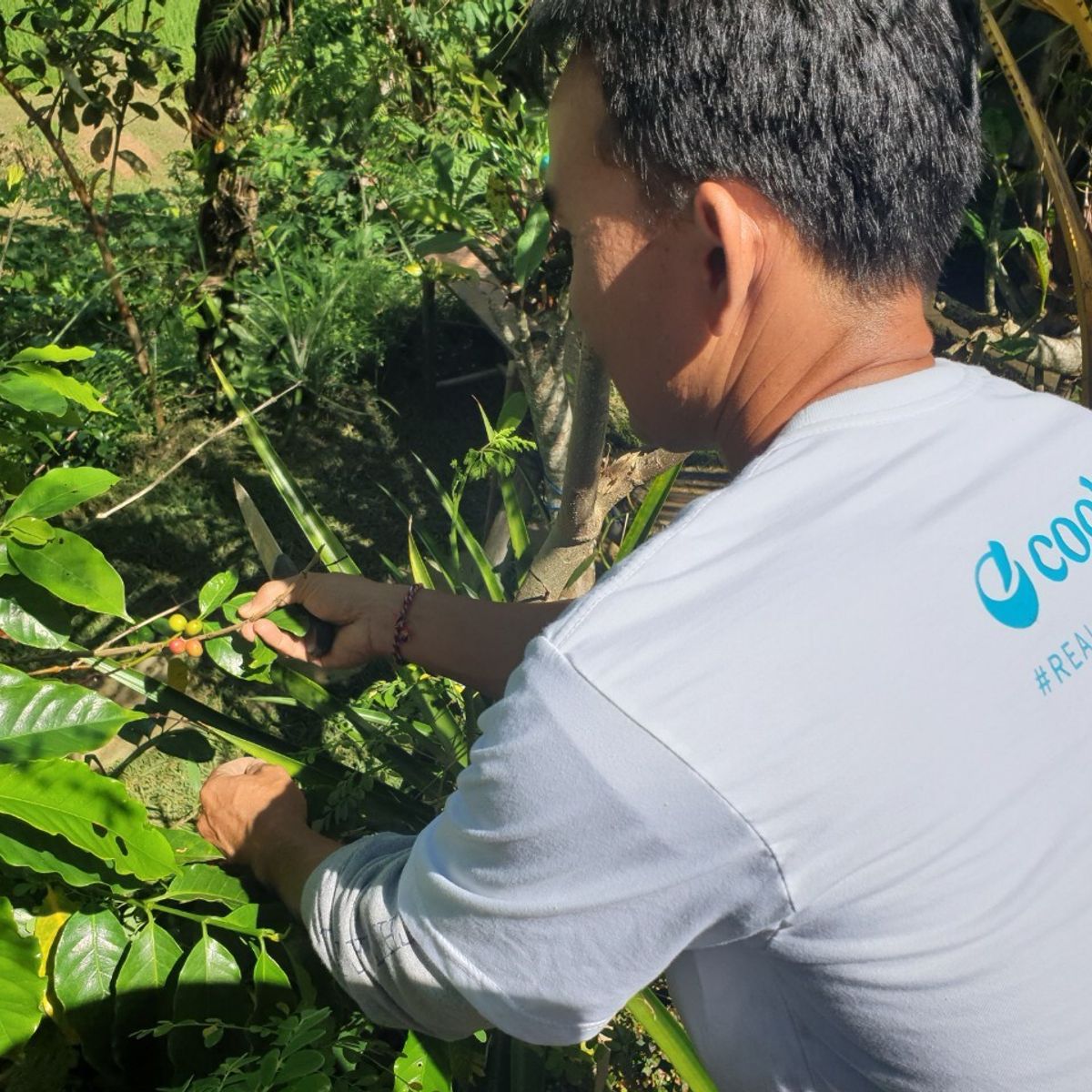 Organic and Authentic Balinese Cooking Class With Cycling in Jatiluwih Rice Terrace