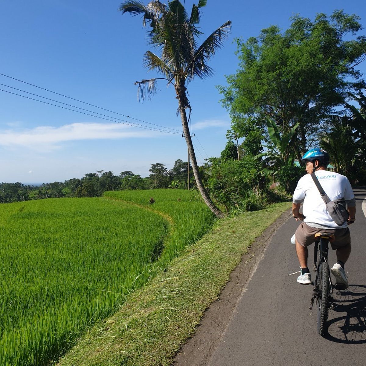 Organic and Authentic Balinese Cooking Class With Cycling in Jatiluwih Rice Terrace