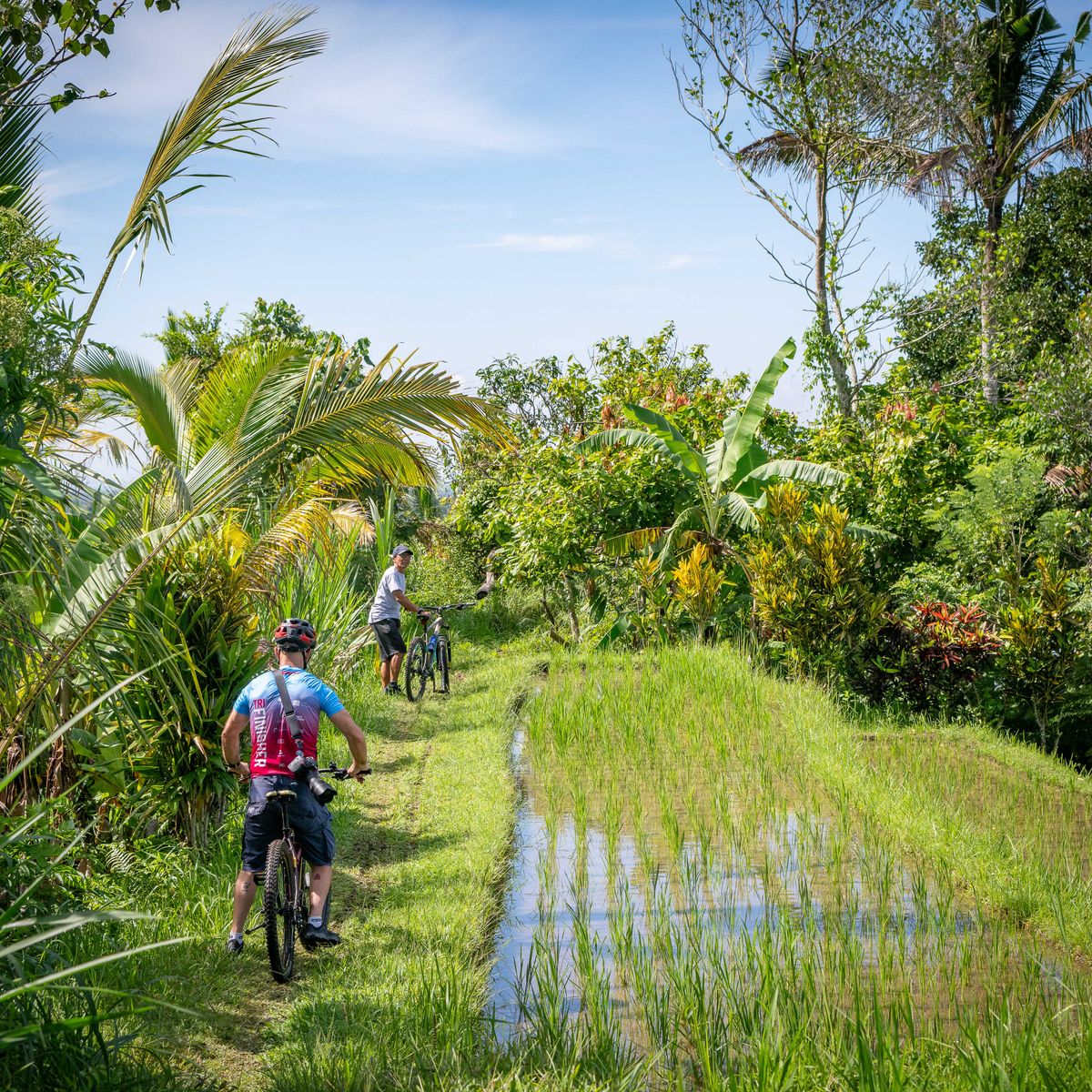 Organic and Authentic Balinese Cooking Class With Cycling in Jatiluwih Rice Terrace