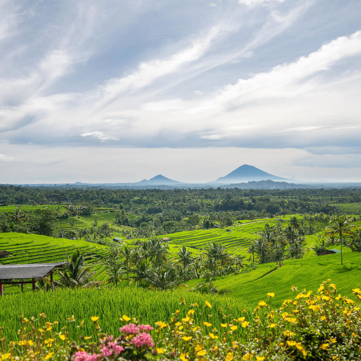 Organic and Authentic Balinese Cooking Class With Cycling in Jatiluwih Rice Terrace
