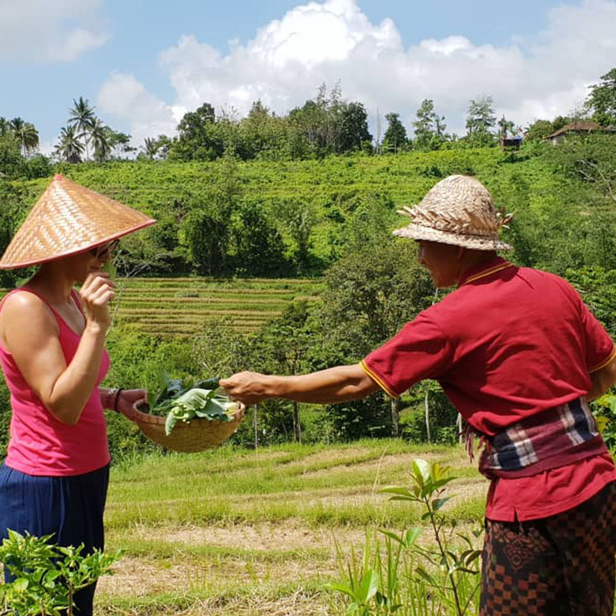 Organic Authentic Balinese Cooking Class with Trekking in the Jatiluwih Rice Terraces
