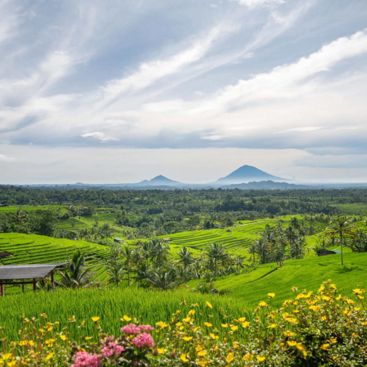 Vegan Balinese Cooking Class in the UNESCO-listed Jatiluwih Rice Terraces