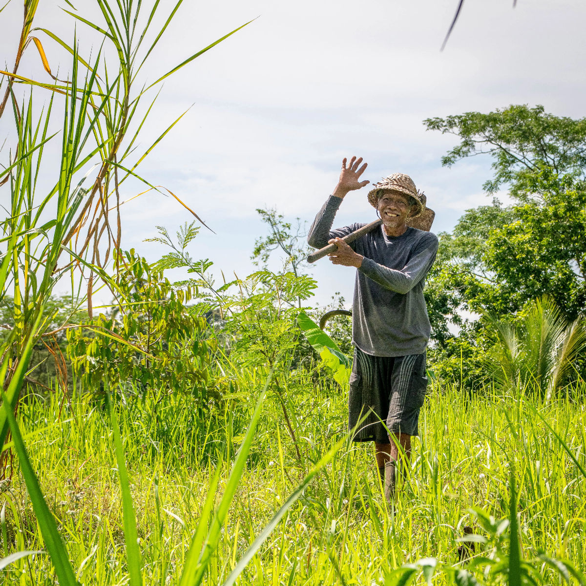 Vegan Balinese Cooking Class in the UNESCO-listed Jatiluwih Rice Terraces