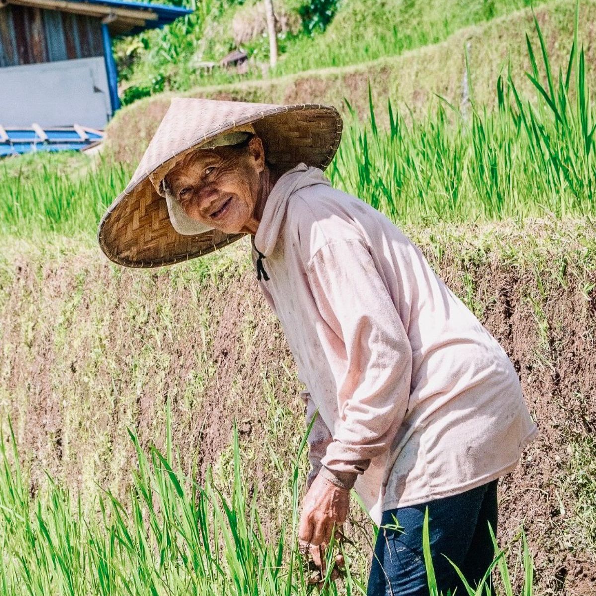 Organic Authentic Balinese Cooking Class with Trekking in the Jatiluwih Rice Terraces