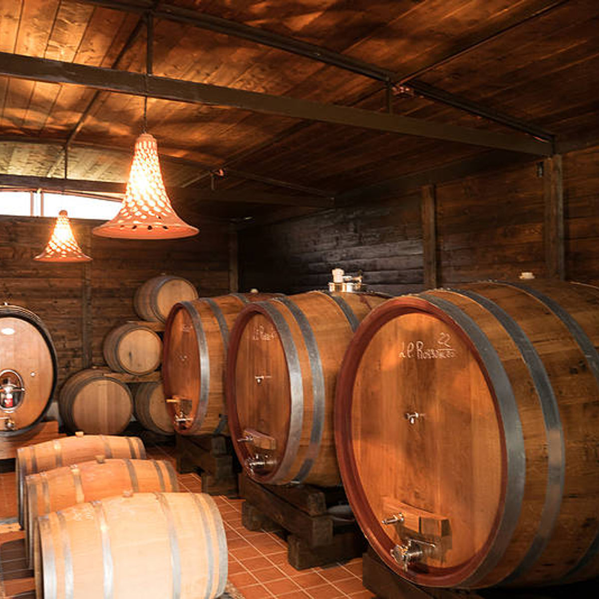 Organic "Classico" Wine Tasting with Lunch on Mount Vesuvius