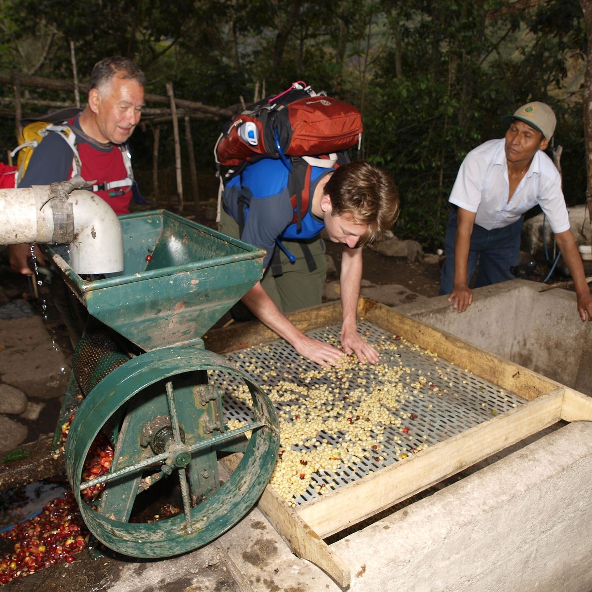 Spend a Day with the Locals at an Organic Coffee Farm