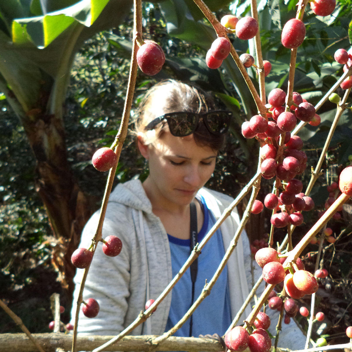 Spend a Day with the Locals at an Organic Coffee Farm